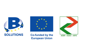 Call for proposals: b-solutions Solving Cross-Border obstacles