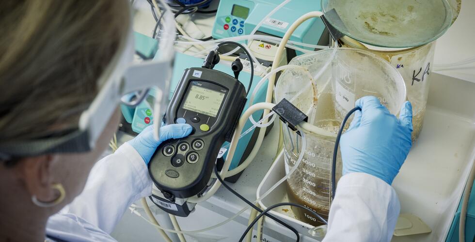 Das Projekt #CURE hat eine Zusammenarbeit mit dem Projekt IDEAL-SNCZ der TU Dresden aufgenommen
