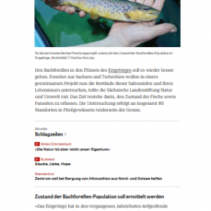 Pressemitteilung: Der Bachforelle soll es besser gehen #2