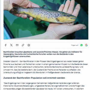 Pressemitteilung: Der Bachforelle soll es besser gehen #3