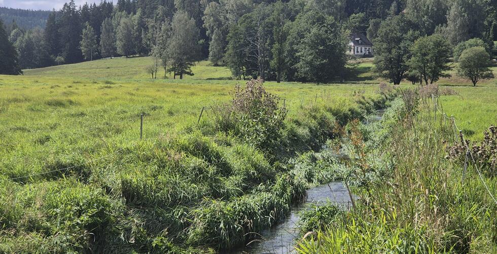Beginn der hydrobiologischen Überwachung