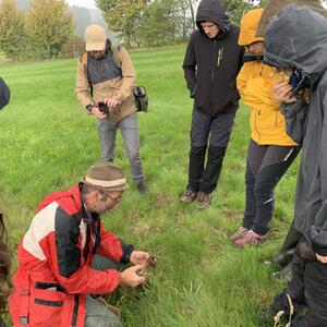 Fachworkshop: Ansaat und Förderung von Arnica montana #2