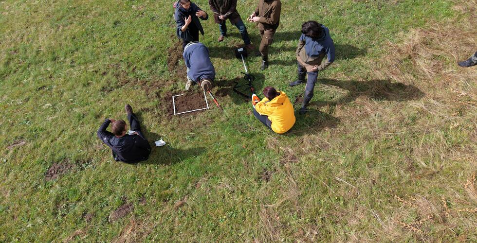 Fachworkshop: Ansaat und Förderung von Arnica montana