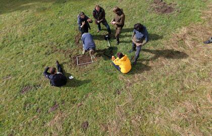 Fachworkshop: Ansaat und Förderung von Arnica montana