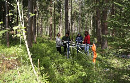 Geophysikalische Untersuchungen in der Zinnseife Sauschwemme bei Eibenstock. Geophysik-Workshop des Leadpartners im ArchaeoTin Projekt