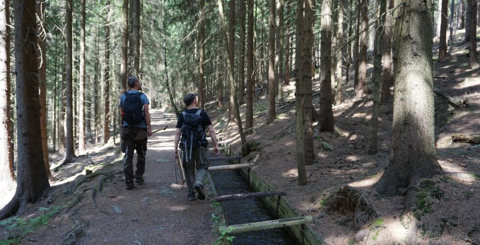 Unterwegs mit dem Verein Berggrabbrüderschaft Ehrenfriedersdorf e.V. im Greifenbachtal | Copyright: Foto: Gemeinsame Begehung des Röhrgrabens (© H. Hönig, LfA).