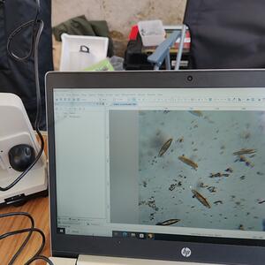 Účast na městských slavnostech Seifhennersdorf #5