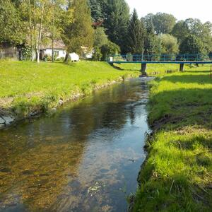 Gemeinsame Probenahme an Fließgewässern Spree, Rosenbach und Ritterbach #3