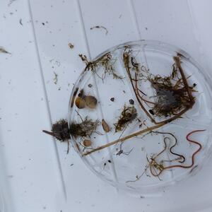 2. Projekttag: KWAKi´s Forschungexkursion Ein Fluss ist nicht nur Wasser #6