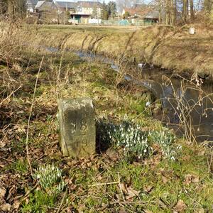 Gemeinsame Probenahme an der Spree, Rosenbach, Ritterbach #1