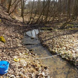 Gemeinsame Probenahme an der Spree, Rosenbach, Ritterbach #2