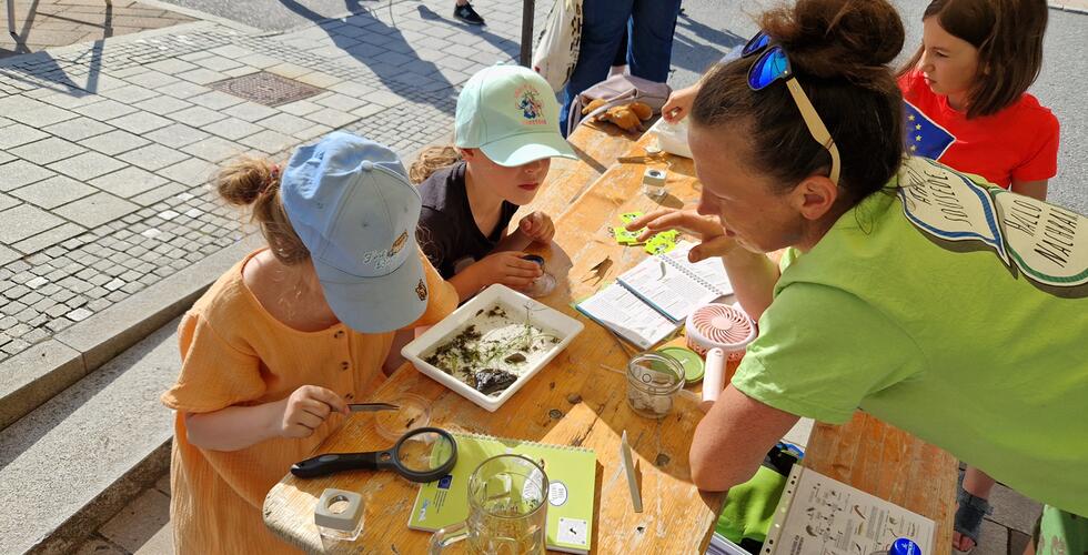 Projektpräsentation beim Stadtfest zwischen den Städten Vejprty und Bärenstein am 14. Juni 2025