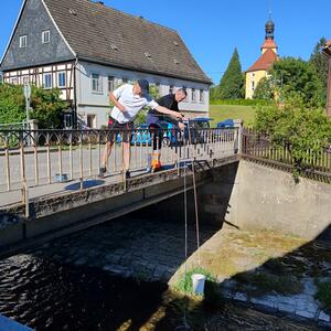 Geminsamme Probenahme am Lausur und Mandau #3