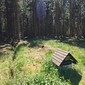 Geminsamme Probenahme am Lausur und Mandau #5