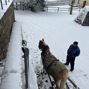 10.12.2024 - eintägige Exkursion von CZ nach DE - Weihnachtsland Erzgebirge #6