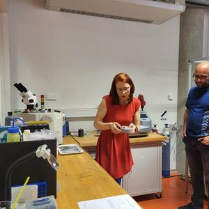Workshop projektu SUPPORT4SME: Jak může mikroskop FIB-SEM pomoci průmyslu? #5