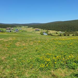 Fachexkursion im Isergebirge im Rahmen des Projekts DiGraSo (26. 5. 2026). #3