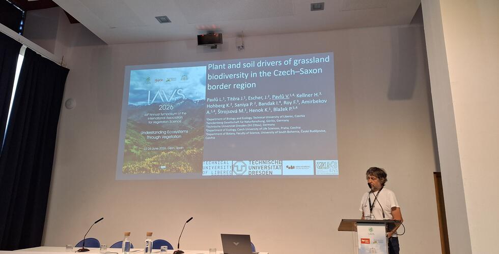 Teilnahme des Projektteams des Projekts DiGraSo an der internationalen wissenschaftlichen Konferenz IAVS in Spanien
