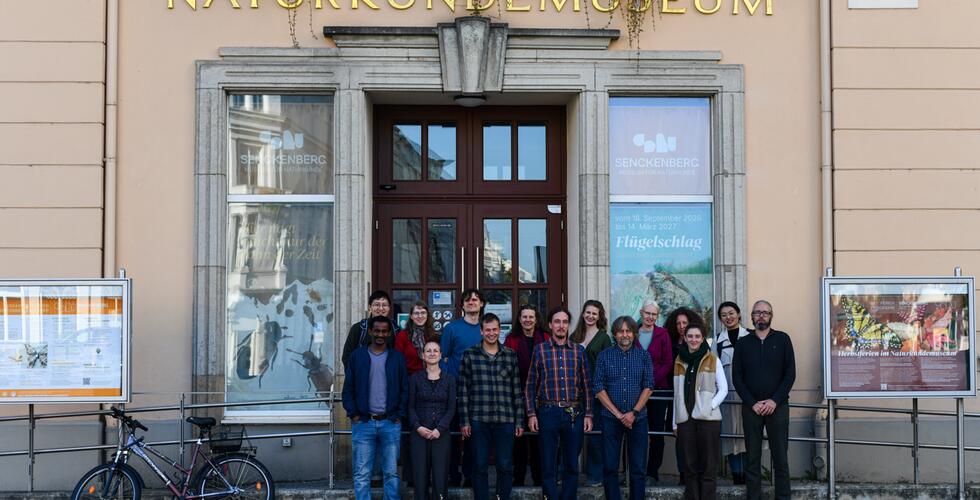 Workshop des DiGraSo-Projekts in Görlitz