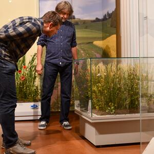 Exkursion in das Senckenberg Museum für Naturkunde Görlitz #1