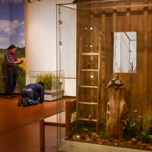 Exkursion in das Senckenberg Museum für Naturkunde Görlitz #3