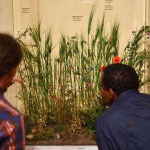 Exkursion in das Senckenberg Museum für Naturkunde Görlitz #5