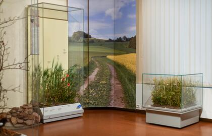 Exkursion in das Senckenberg Museum für Naturkunde Görlitz