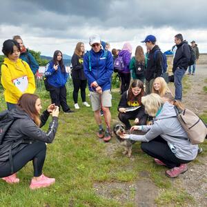 Workshop Lausche #3