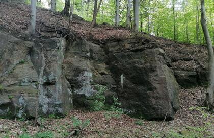 Historischer Abbau und Nutzung von Natursteinen am Beispiel von Waltersdorf