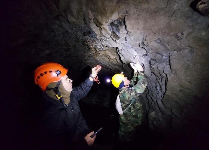 Beobachtung überwinternder Fledermäuse im Naturdenkmal Nebočadský luh