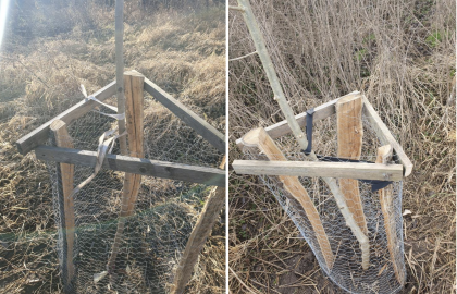 Dokončení ochrany bobra