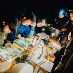 Deutsch-tschechischer Sommercamp 2025 Elbauenschutz #1