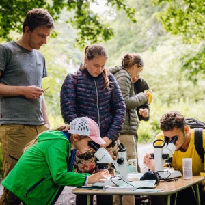 Deutsch-tschechischer Sommercamp 2025 Elbauenschutz #5