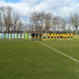 Zwei Testspiele zwischen Dynamo Dresden und Viagem Ústí nad Labem #1