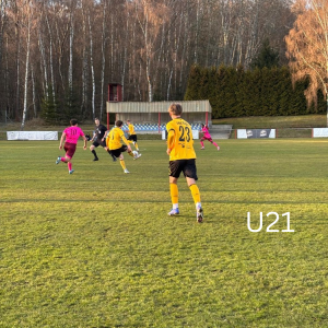 Zwei Testspiele zwischen Dynamo Dresden und Viagem Ústí nad Labem #3