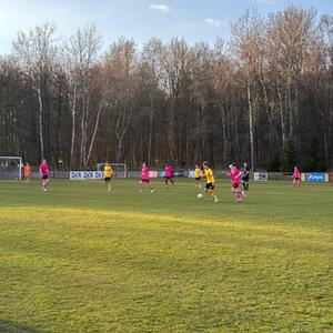 Zwei Testspiele zwischen Dynamo Dresden und Viagem Ústí nad Labem #5