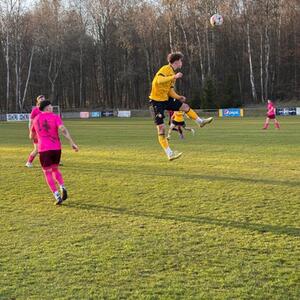 Zwei Testspiele zwischen Dynamo Dresden und Viagem Ústí nad Labem #6