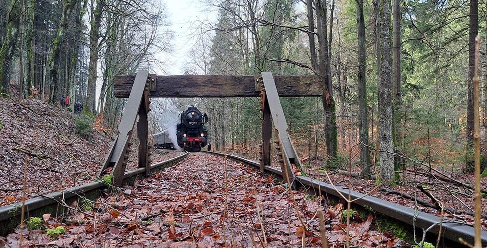 Bildungsveranstaltungen für die Öffentlichkeit - Holzhau-Moldava