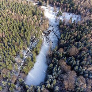 Odborná stáž - opatření k propojení biotopů v přírodní rezervaci Kuttenbach/Krušné hory #1