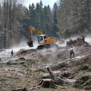 Odborná stáž - opatření k propojení biotopů v přírodní rezervaci Kuttenbach/Krušné hory #2