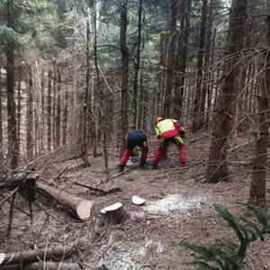 Gemeinsame Pflege an Standorten LP - Jeschkenkamm/Neuer Urwald und Standortbesuche #1