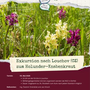 Exkurze do Louchova za prstnatcem bezovým #1