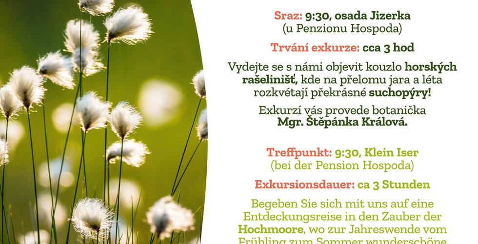Auf den Spuren vom Wollgras in Klein Iser - botanische exkursion