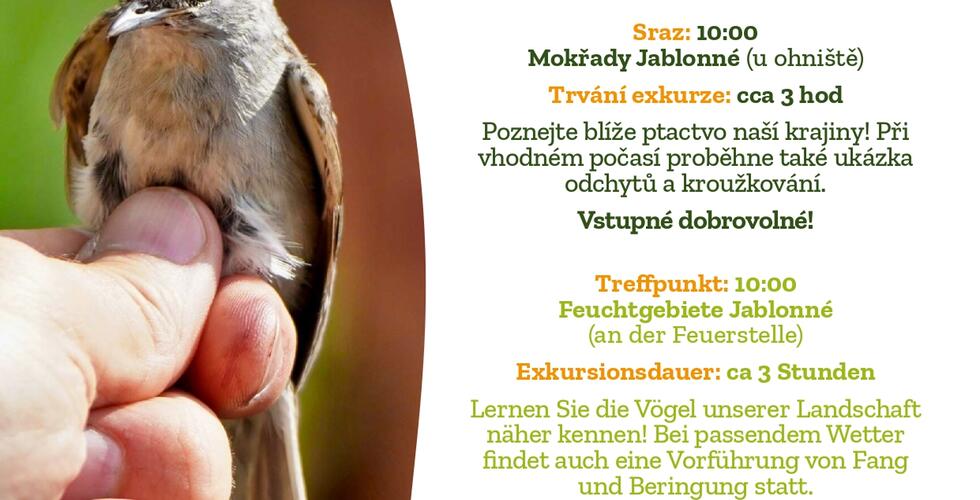 Ornithologische exkursion