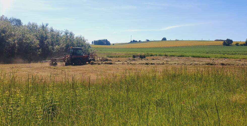 Společná péče na lokalitách LP - Rybníčky u Lomnice nad Popelkou