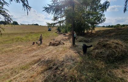 CZ/DE Freiwilligenveranstaltung in Krásná Lípa - Wiesenmahd