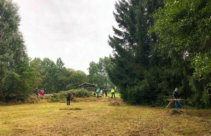 DE/CZ Freiwilligeneinsatz - Wiesenberäumung im Flächennaturdenkmal Quellmoor am Sauwald