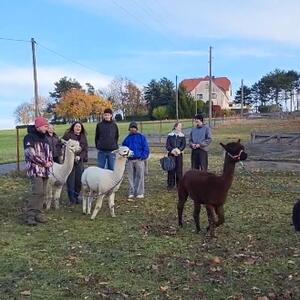 Zweites Seminar im deutsch-tschechischen Freiwilligendienst #5