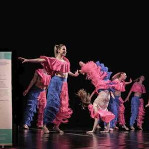 deutsch-tschechische Tanzschau Für Freude Litvínov - Zschopau #1