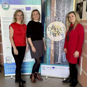 Holzspielen in Litvínov 2026 #1